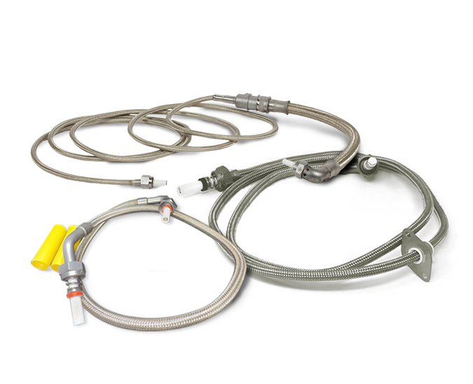 Champion Ignitor Leads